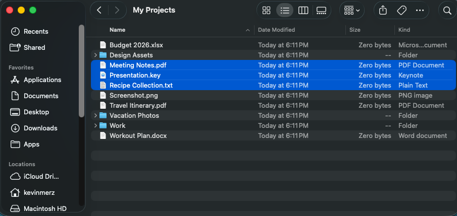File manager with selected files ready to cut